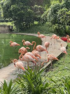 Khu du lịch Vườn Xoài