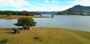 Bãi cắm trại 3 cây thông