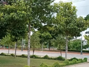 Công viên 16/4