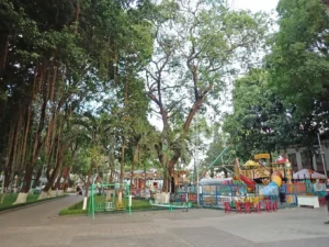Công viên Biên Hùng