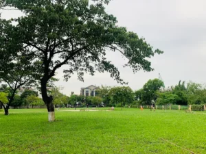 Công viên Đặng Thuỳ Trâm