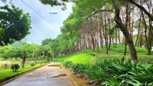Công viên Nhạc Sơn