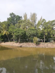 Công viên Phú Lâm