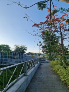 công viên sông Hậu
