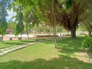 Công viên Xuân Hồng