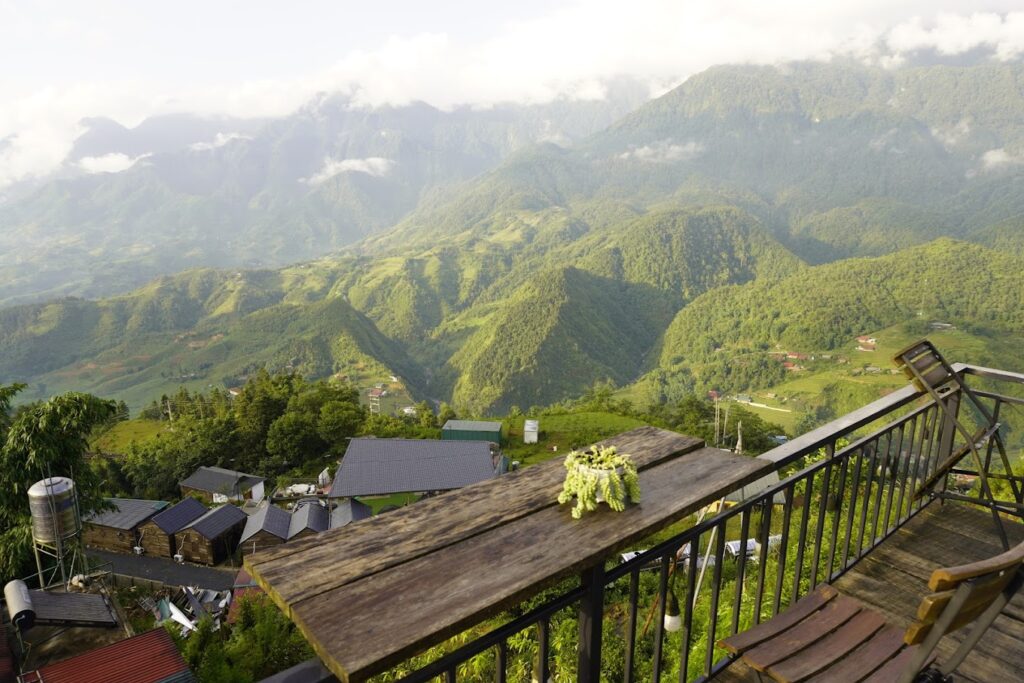 Daisy Sapa - Homestay & Coffee