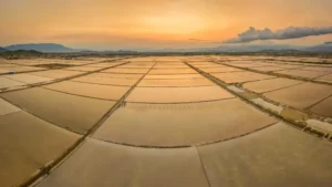 Đồng muối Hòn Khói