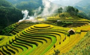 Khu Bảo Tồn Thiên Nhiên Pù Luông
