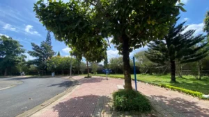 Quảng Trường 28 Tháng 3