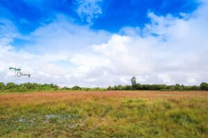 Quảng Trường Rừng Sác