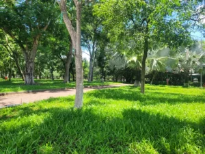 Tân An City Park