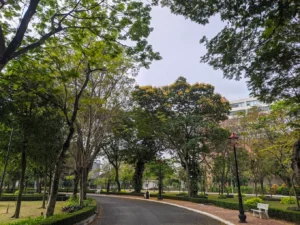 Vòng quanh công viên phần mềm Quang Trung