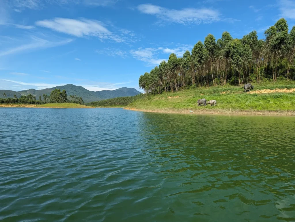 Vụ Tịch Lakeview homestay