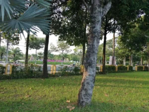 công viên Văn Miếu