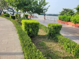công viên bờ kè sông Tiền