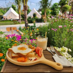 Mimosa Farmstay