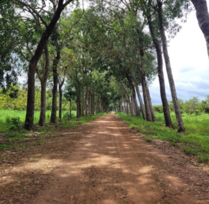 nông trại phú gia
