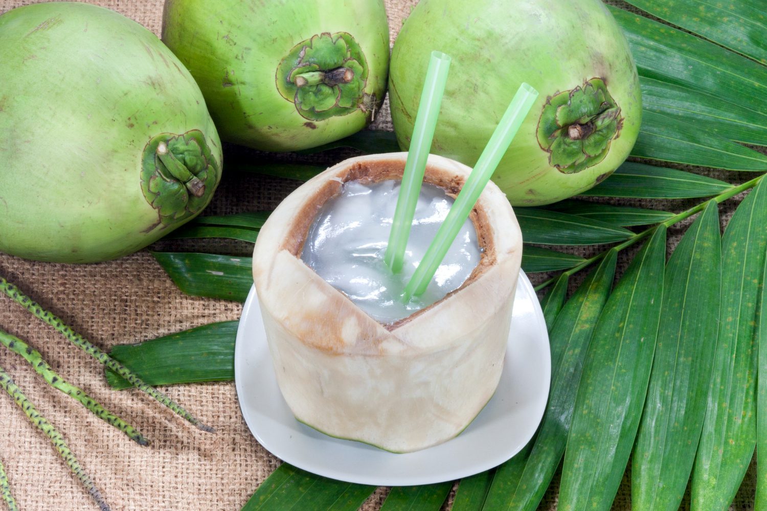 coconut-water-benefits-1.jpg