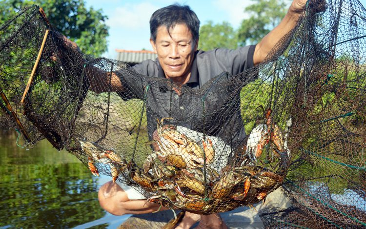 rural-life-in-vietnam-2.jpg