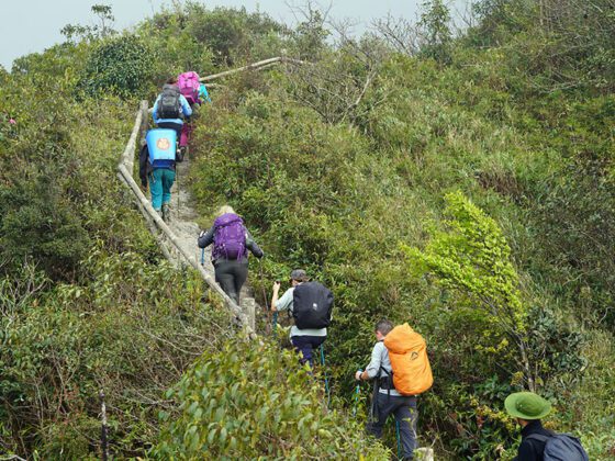 types-of-hiking-thumb