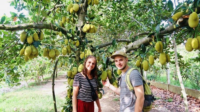 vietnam-fruit-3.jpg