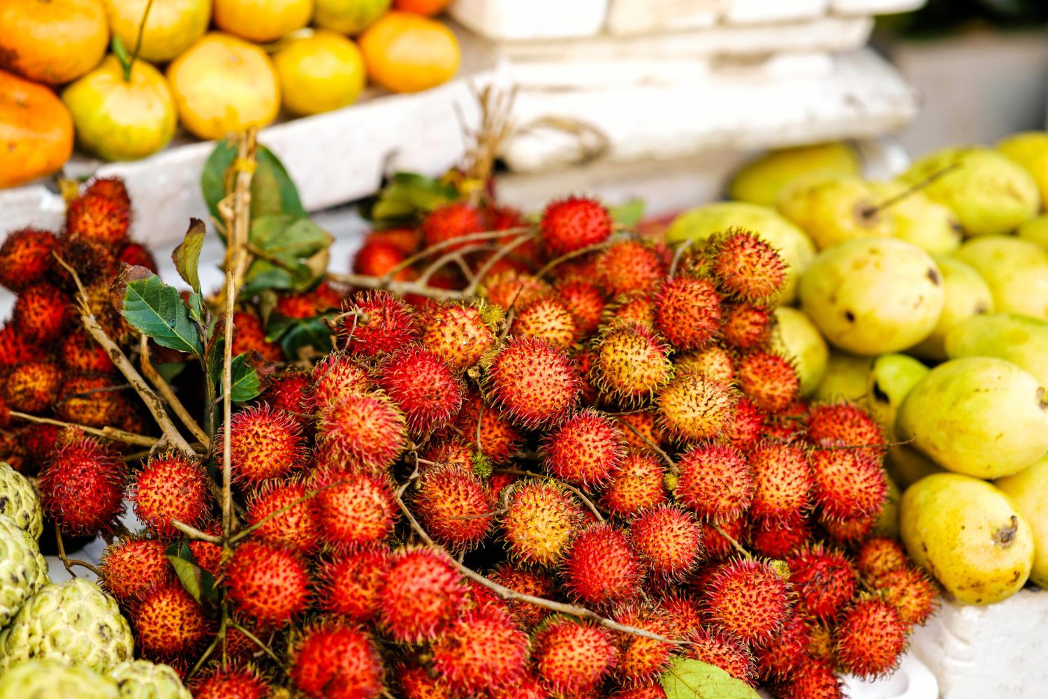 vietnam-fruit-4.jpg