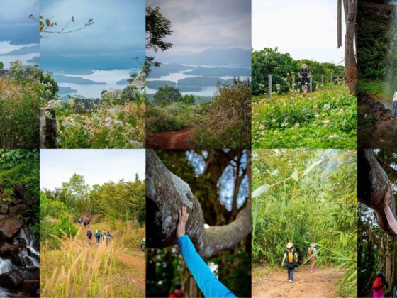 Trekking Tà Đùng cùng ExoTrails