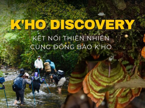 Kho Discovery