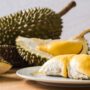 benefits of durian_thumb