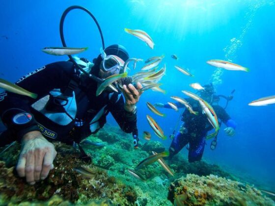 coral diving Nha Trang_thumb