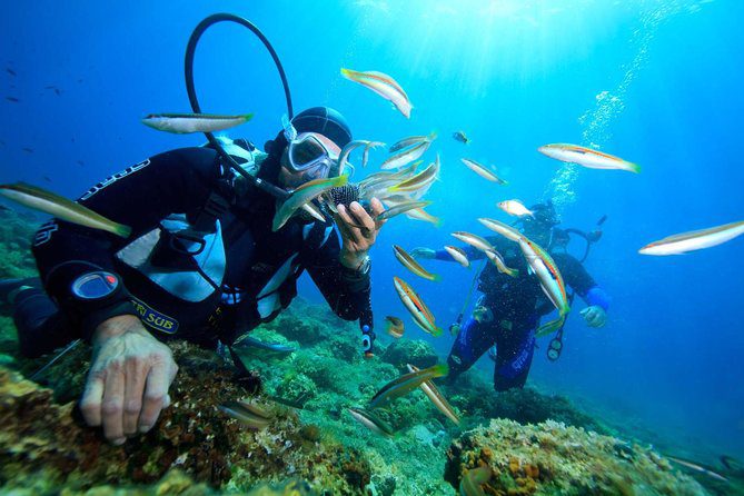 coral diving Nha Trang_thumb