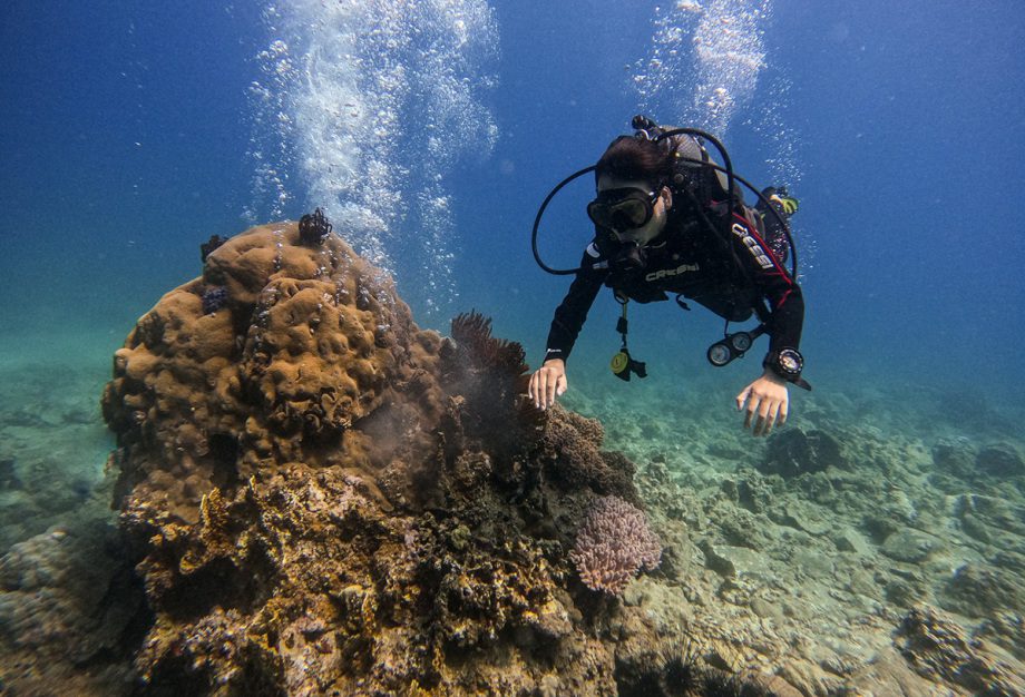 illegal diving in Nha Trang_1