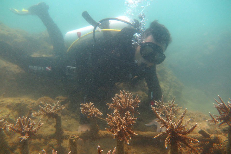 illegal diving in Nha Trang_2