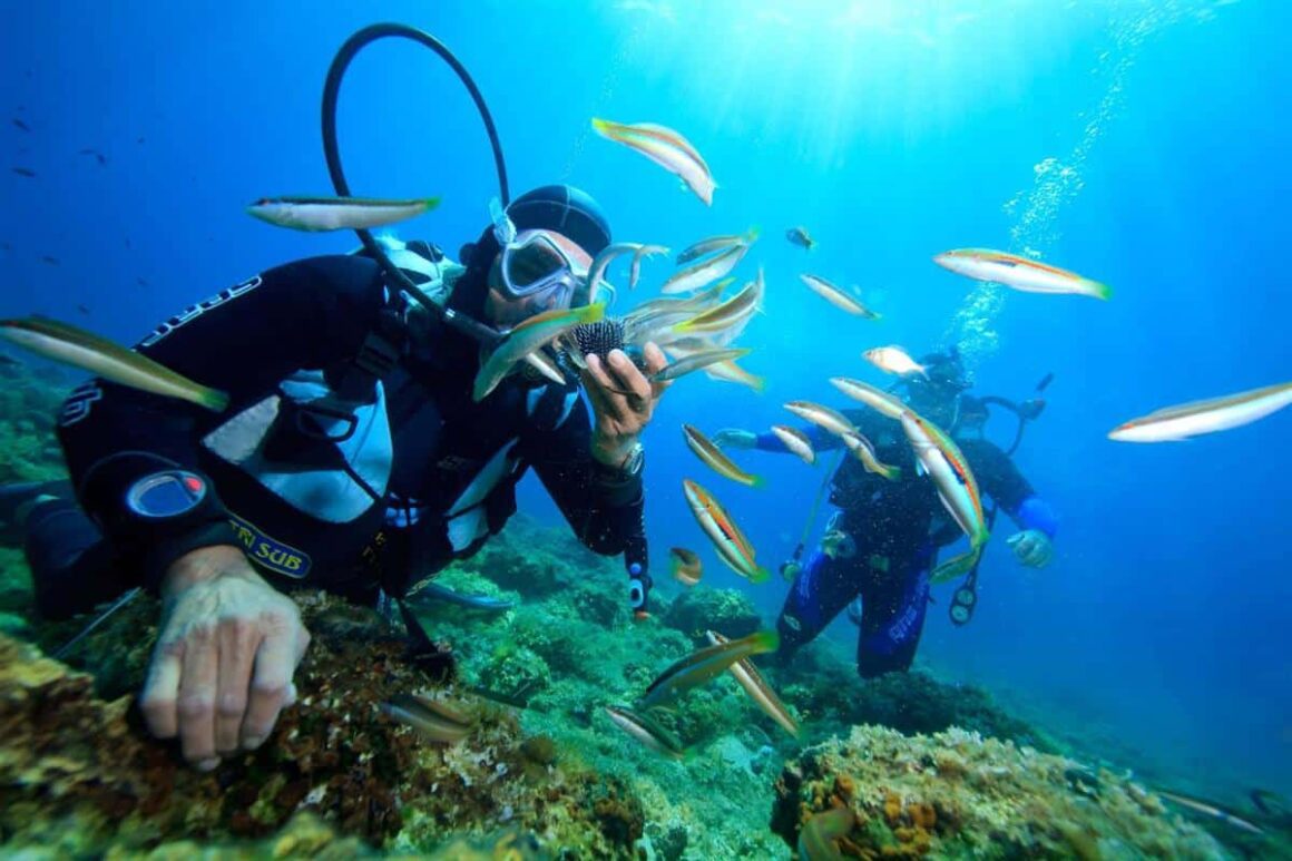 illegal diving in Nha Trang_thumb