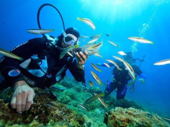 illegal diving in Nha Trang_thumb