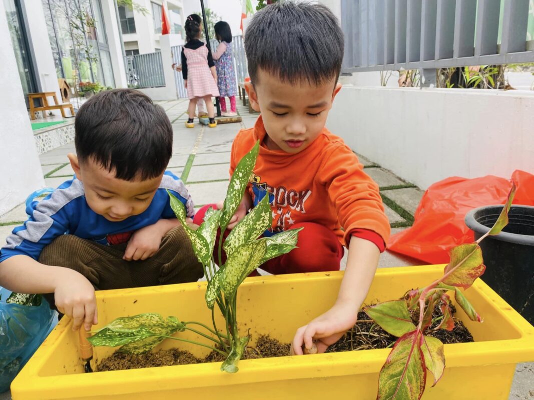 mental health treatment in Vietnam_6