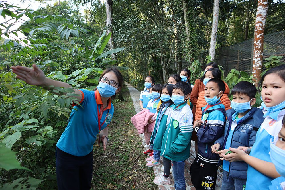 forest schools in Vietnam_2