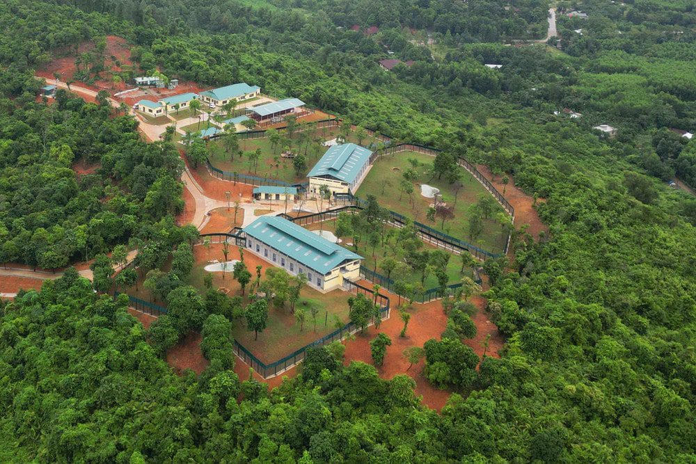 bear rescue center Vietnam_2-min