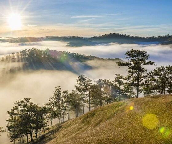 view săn mây Đà Lạt_thumb