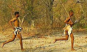 Persistence Hunting_4