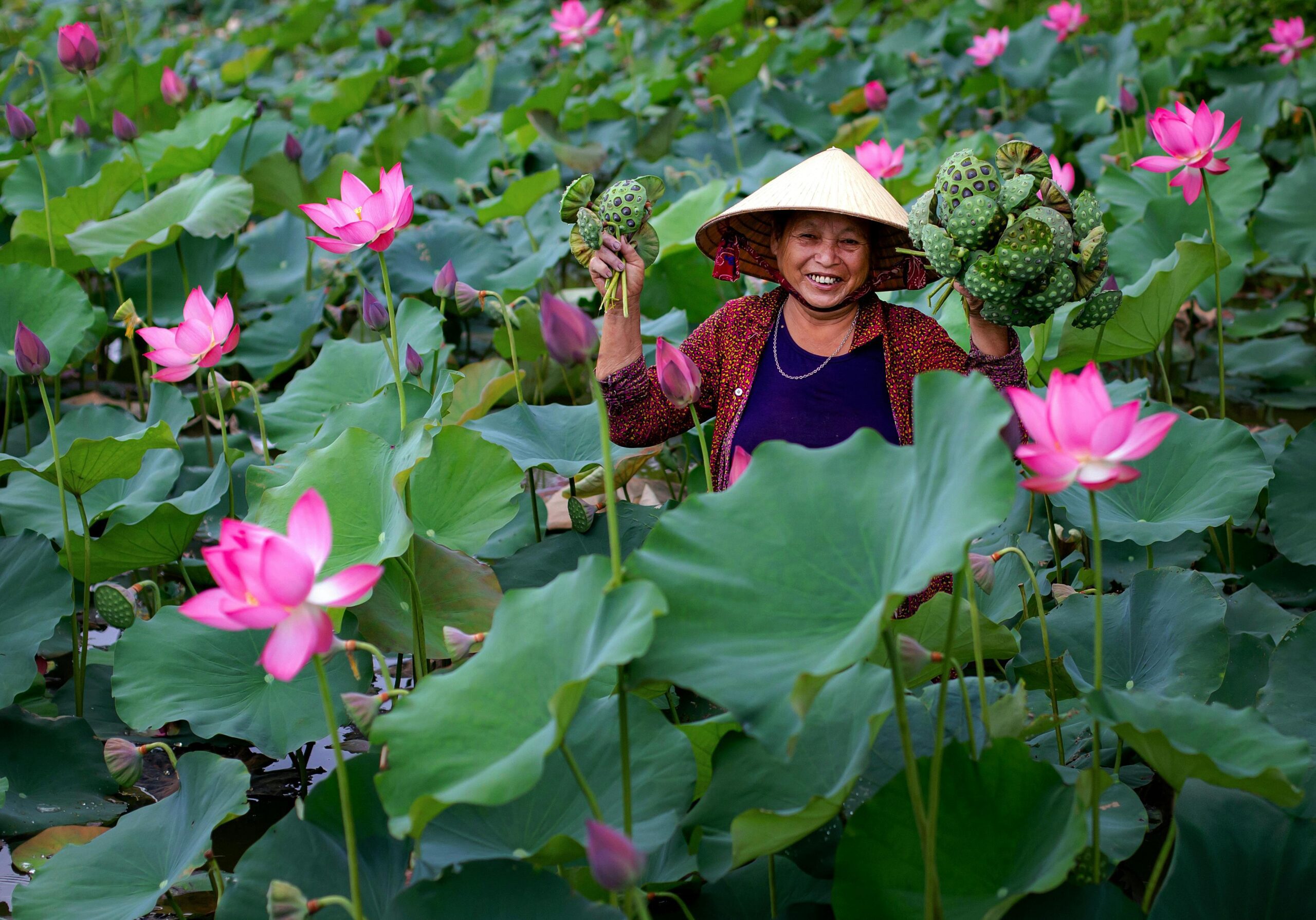 sống hạnh phúc