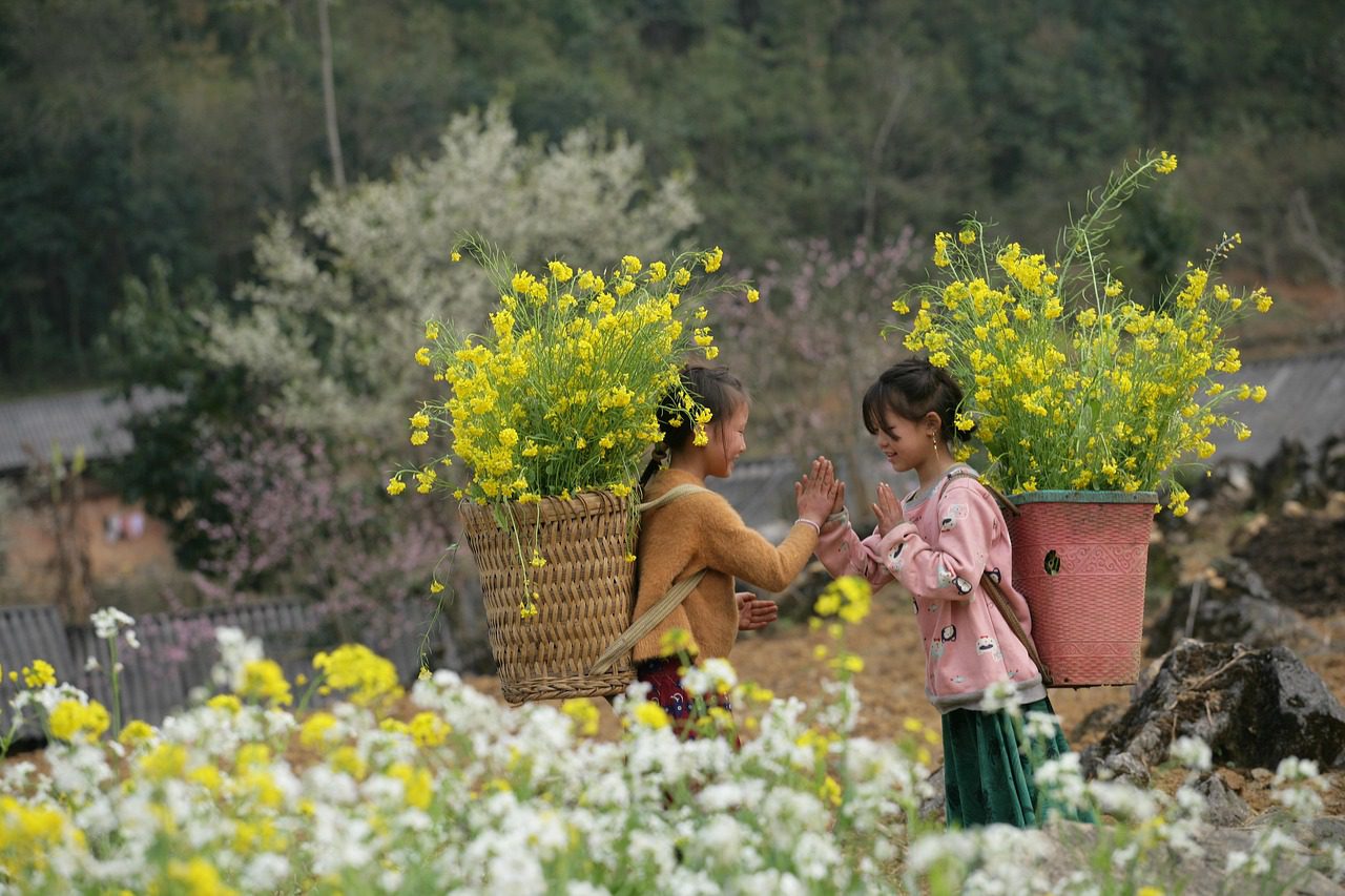 stunning landscapes in Vietnam_5