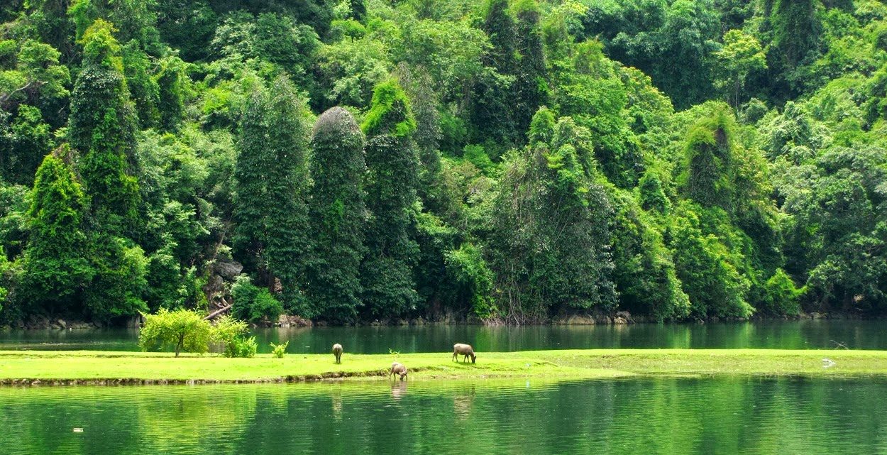 Ba Be National Park_1