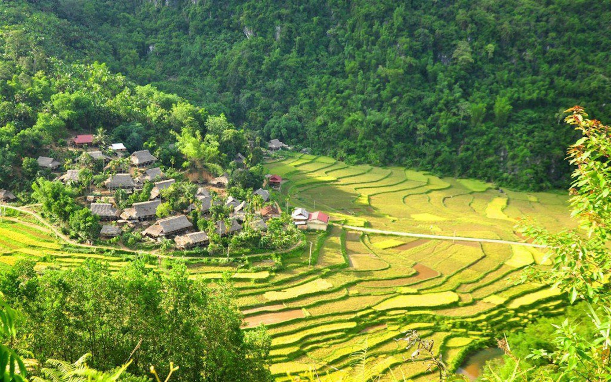 Pu Luong Nature Reserve_1