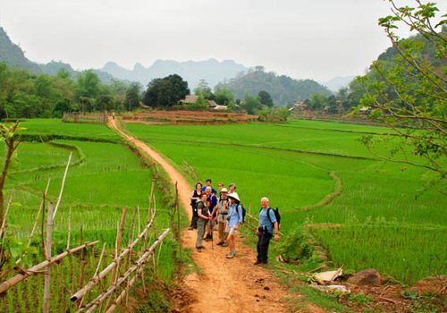 Pu Luong Nature Reserve_4