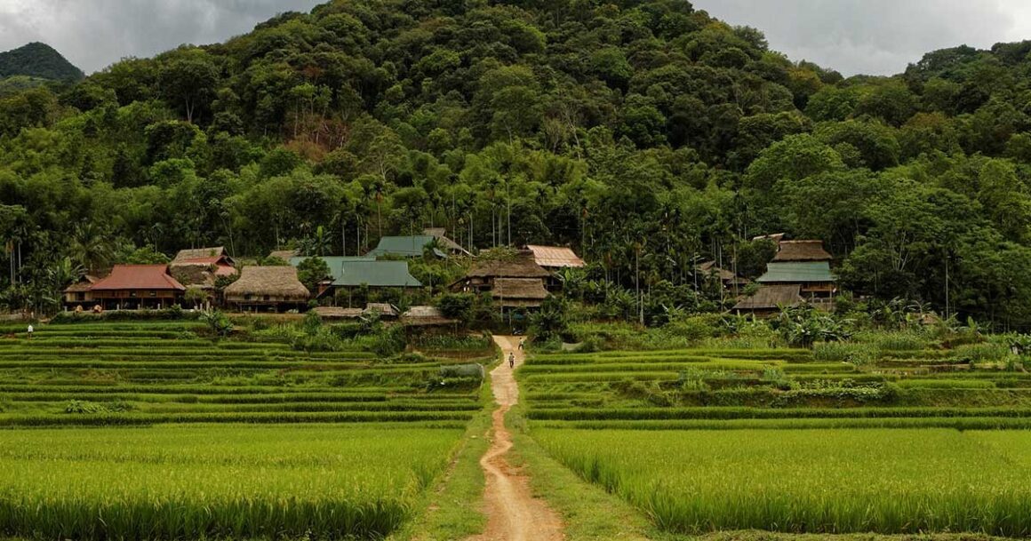 Pu Luong Nature Reserve_thumb