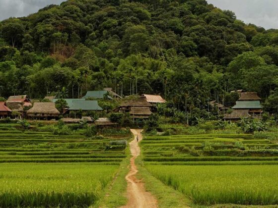 Pu Luong Nature Reserve_thumb