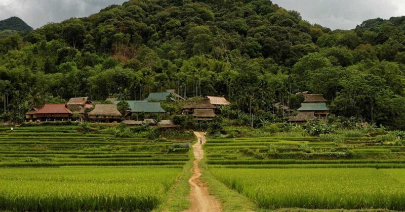 Pu Luong Nature Reserve_thumb