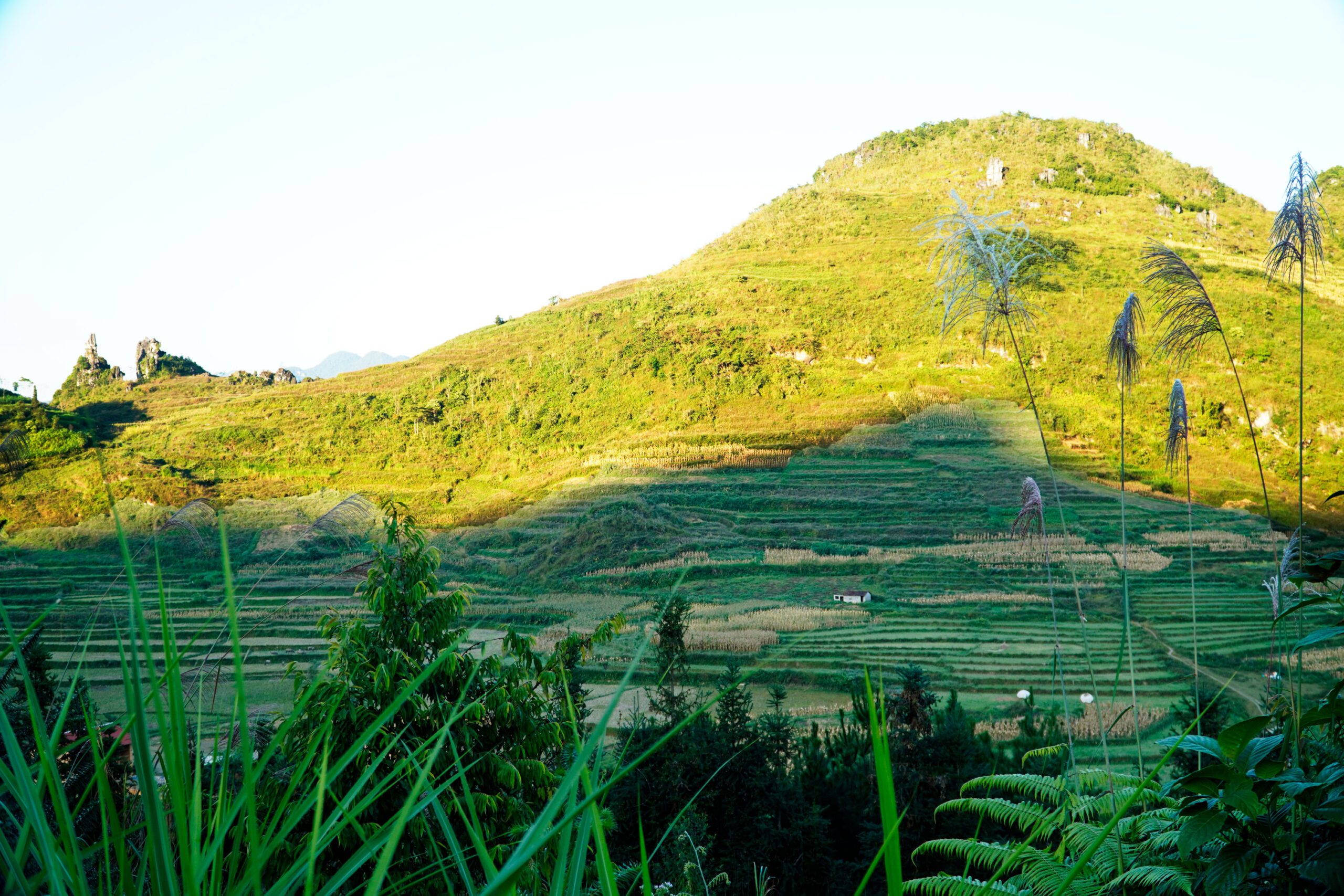 Vietnam homestay experience_4