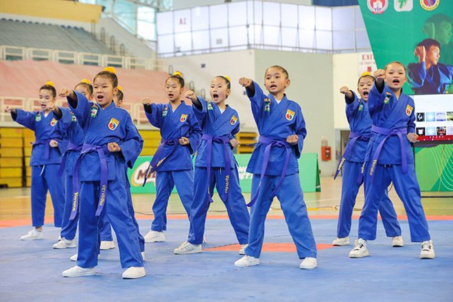 Vietnamese martial arts_3